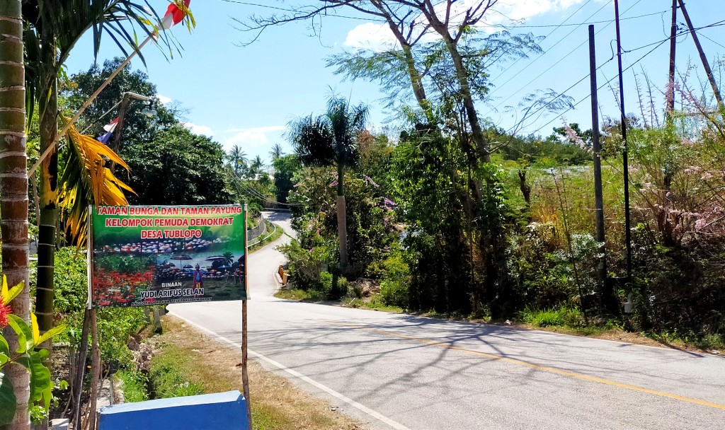 Taman Bunga dan Taman Payung Kelompok Pemuda Demokrat Desa Tublopo